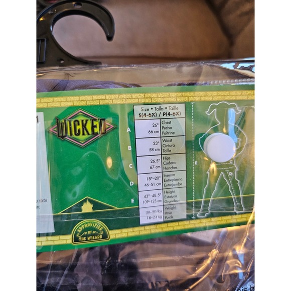 Disguise Wicked Elphaba Child Costume Dress Cape Hat S/P 4-6X Dress Up Witch NEW - Picture 7 of 8